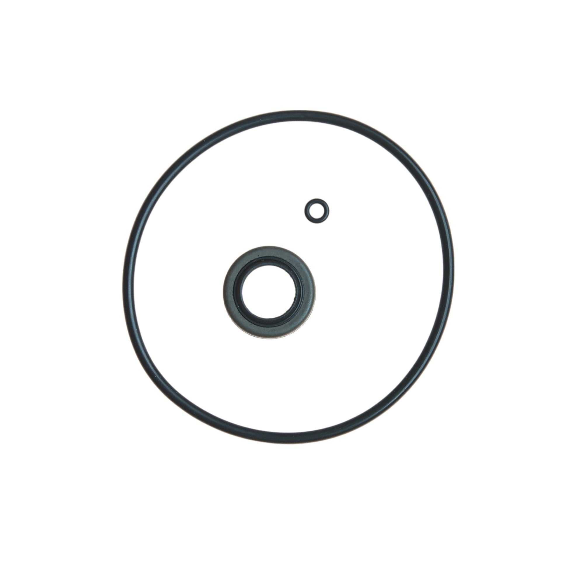 Edelmann Steering Gear Input Shaft Seal Kit 8553