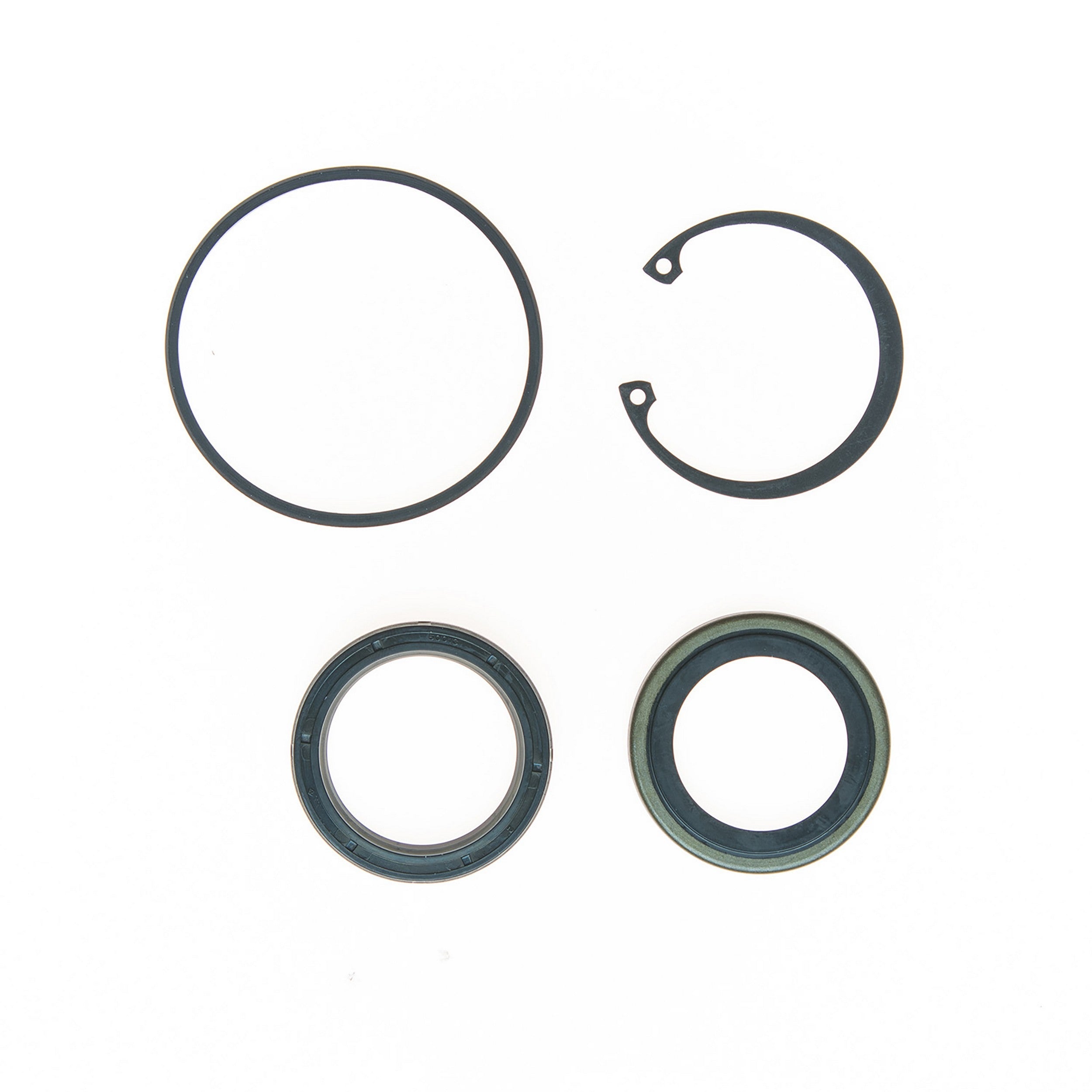 Edelmann Steering Gear Pitman Shaft Seal Kit 8783