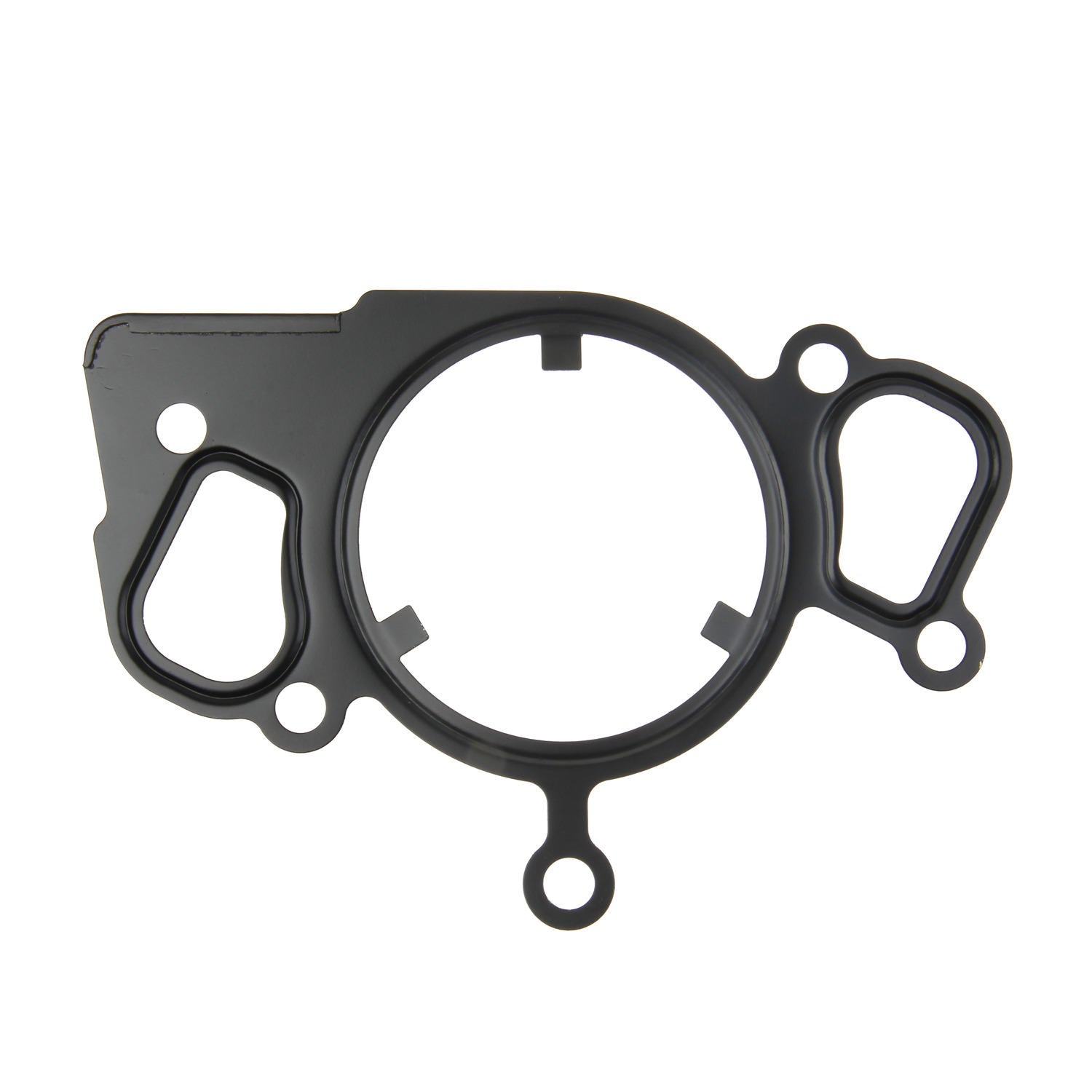 Eurospare Engine Water Pump Gasket