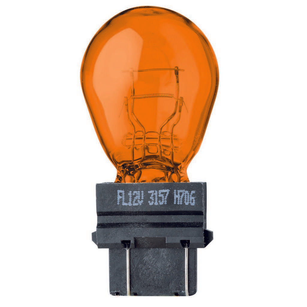 Flosser 315701