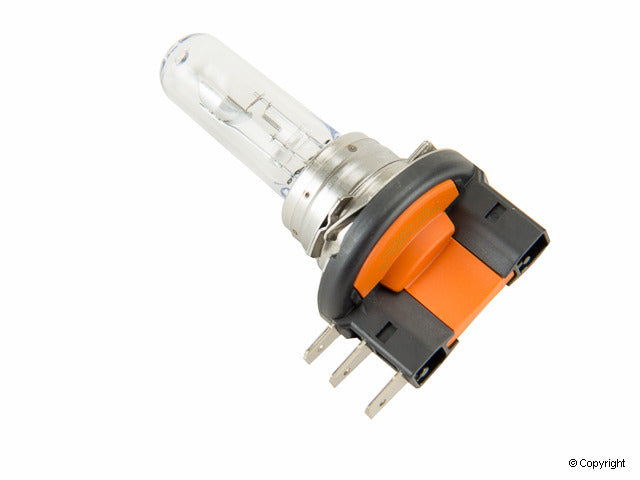 Flosser Multi Purpose Light Bulb