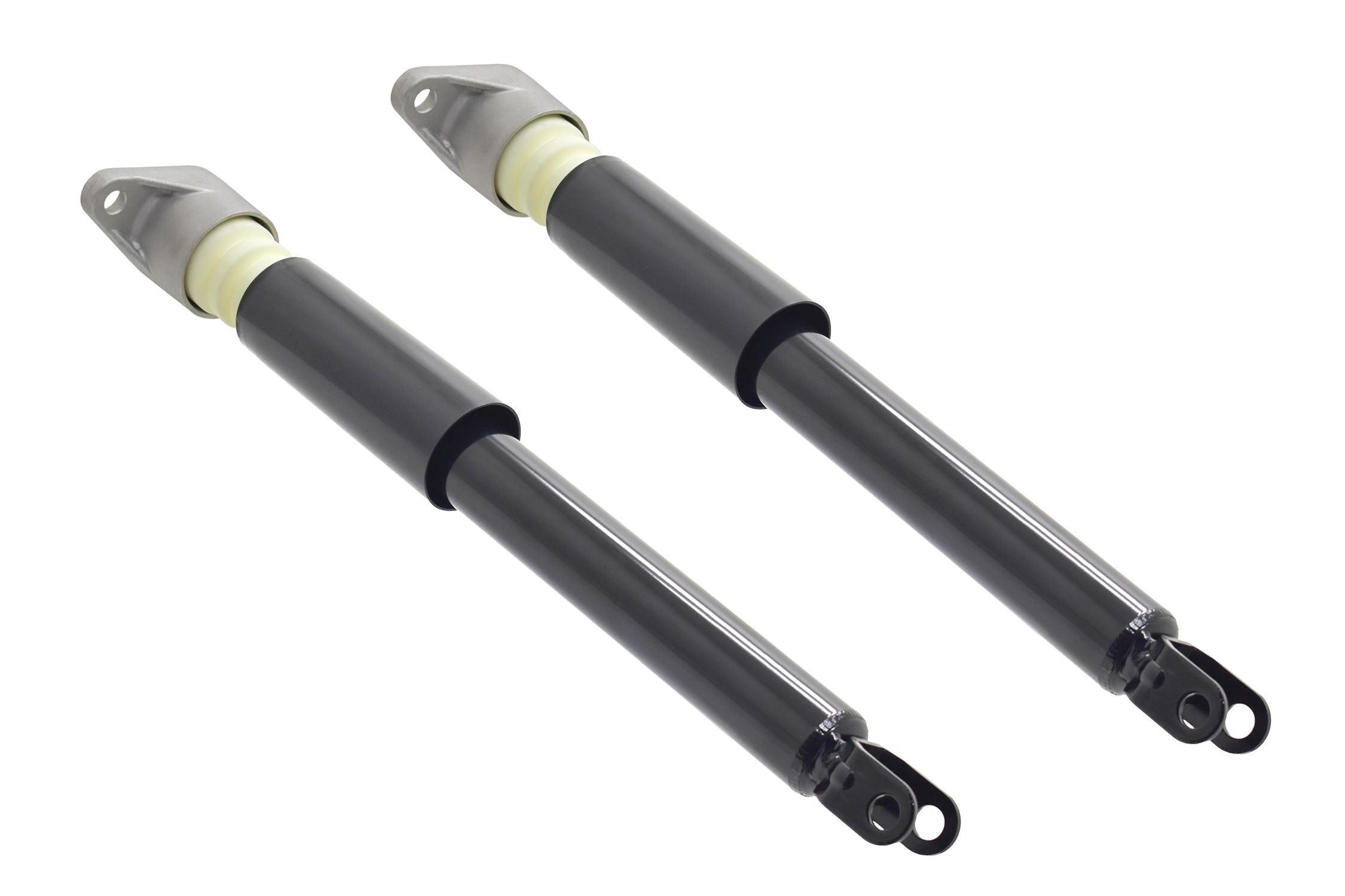 FCS Struts 8341740