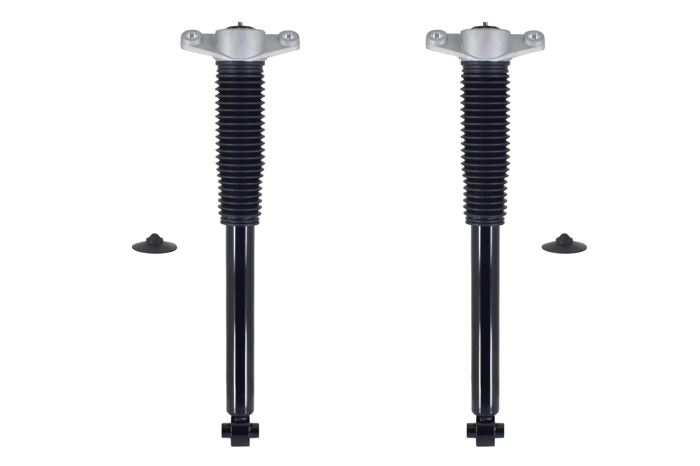 FCS Struts 8346863