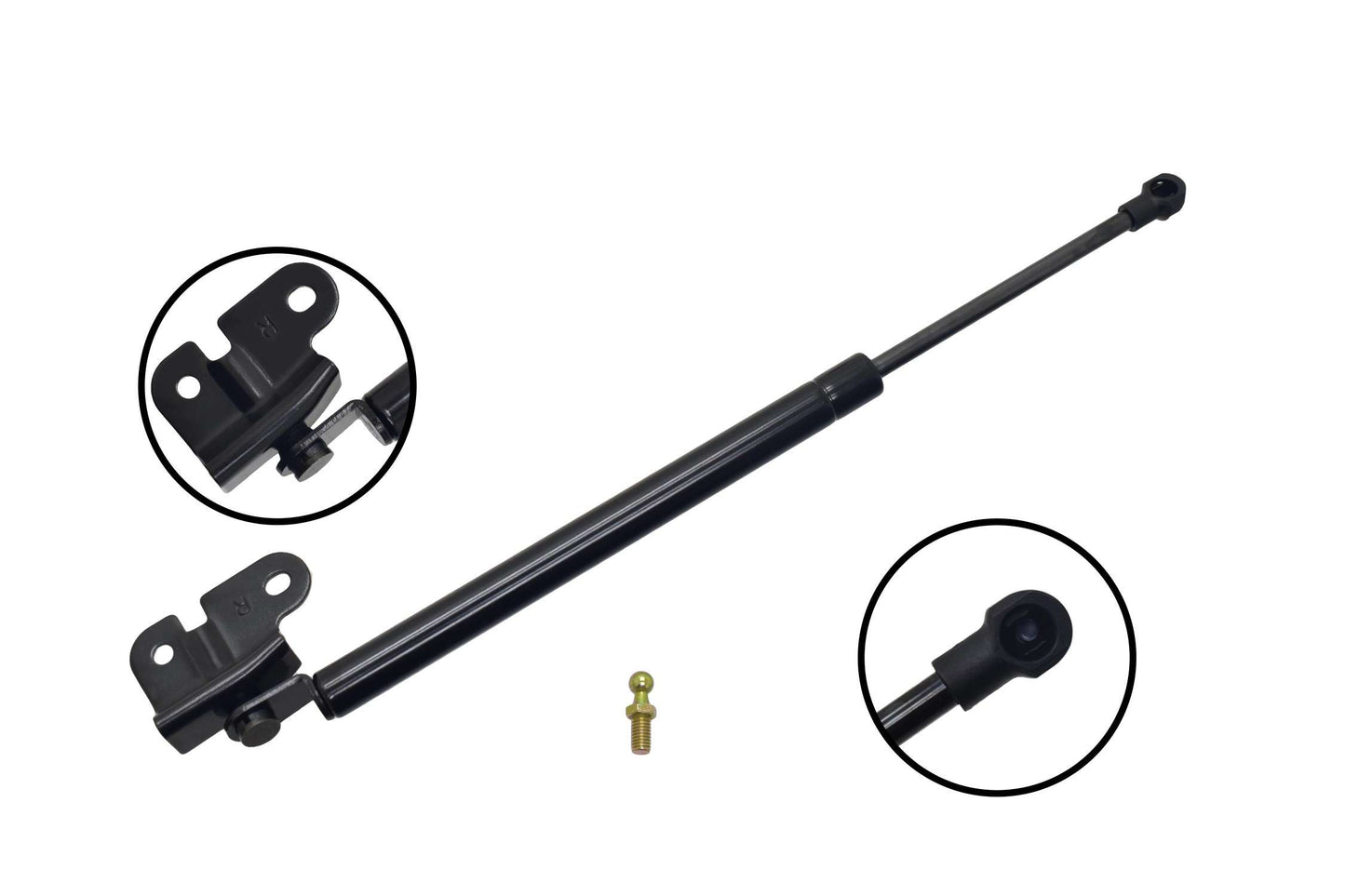 Focus Auto Parts Hood Lift Support 84913
