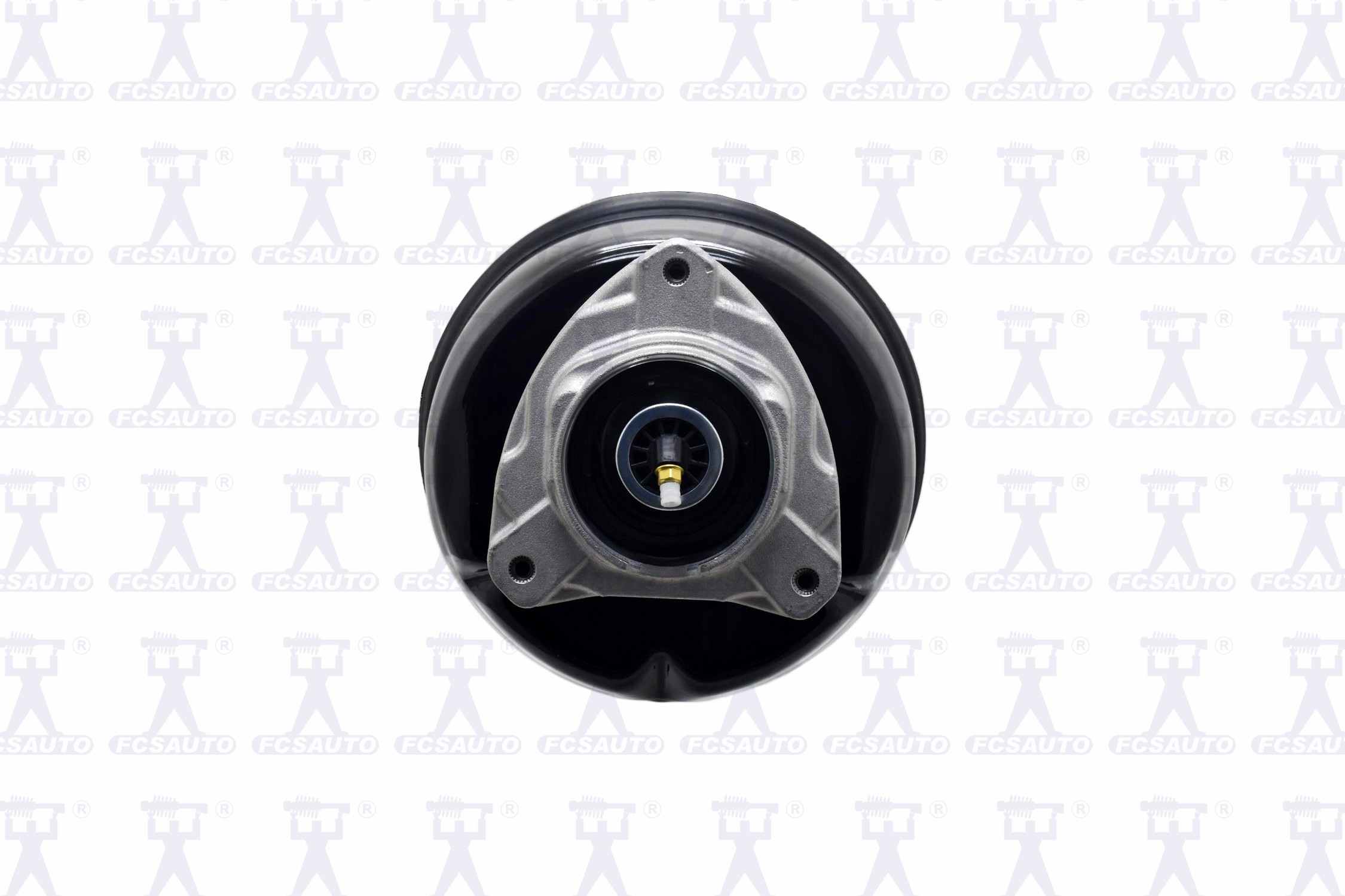 Focus Auto Parts Air Suspension Strut 92015