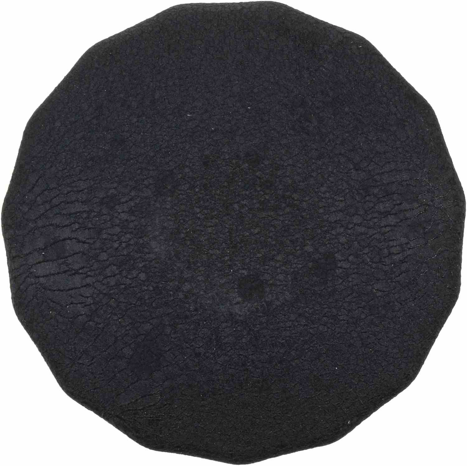 FRAM Oil Filter FRAPH2
