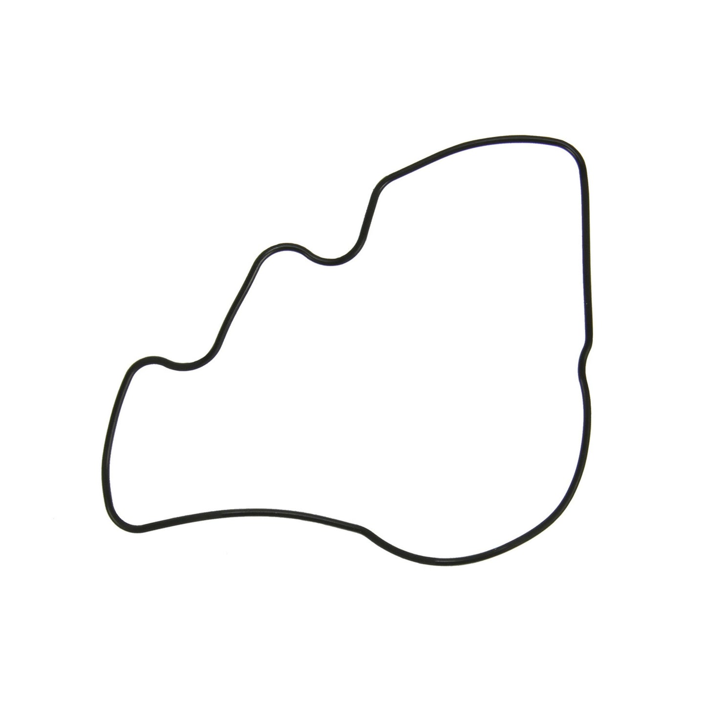 FEL-PRO Engine Oil Pump Seal 72518