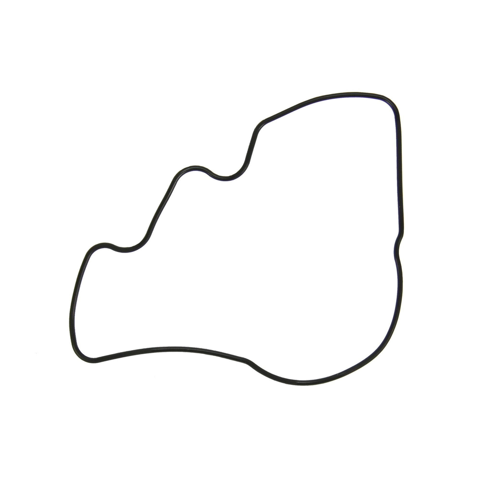 FEL-PRO Engine Oil Pump Seal 72518