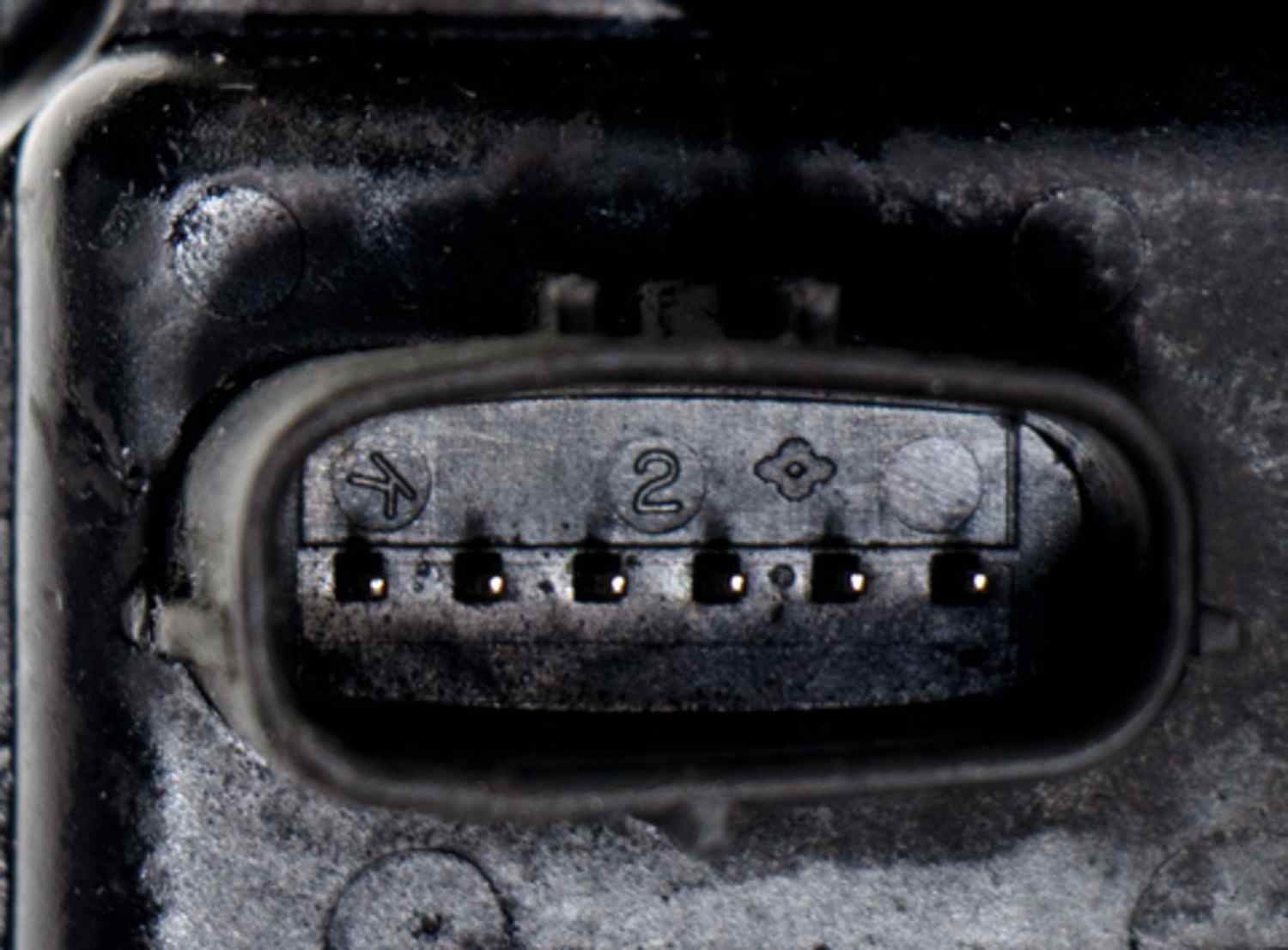 Four Seasons 1177397