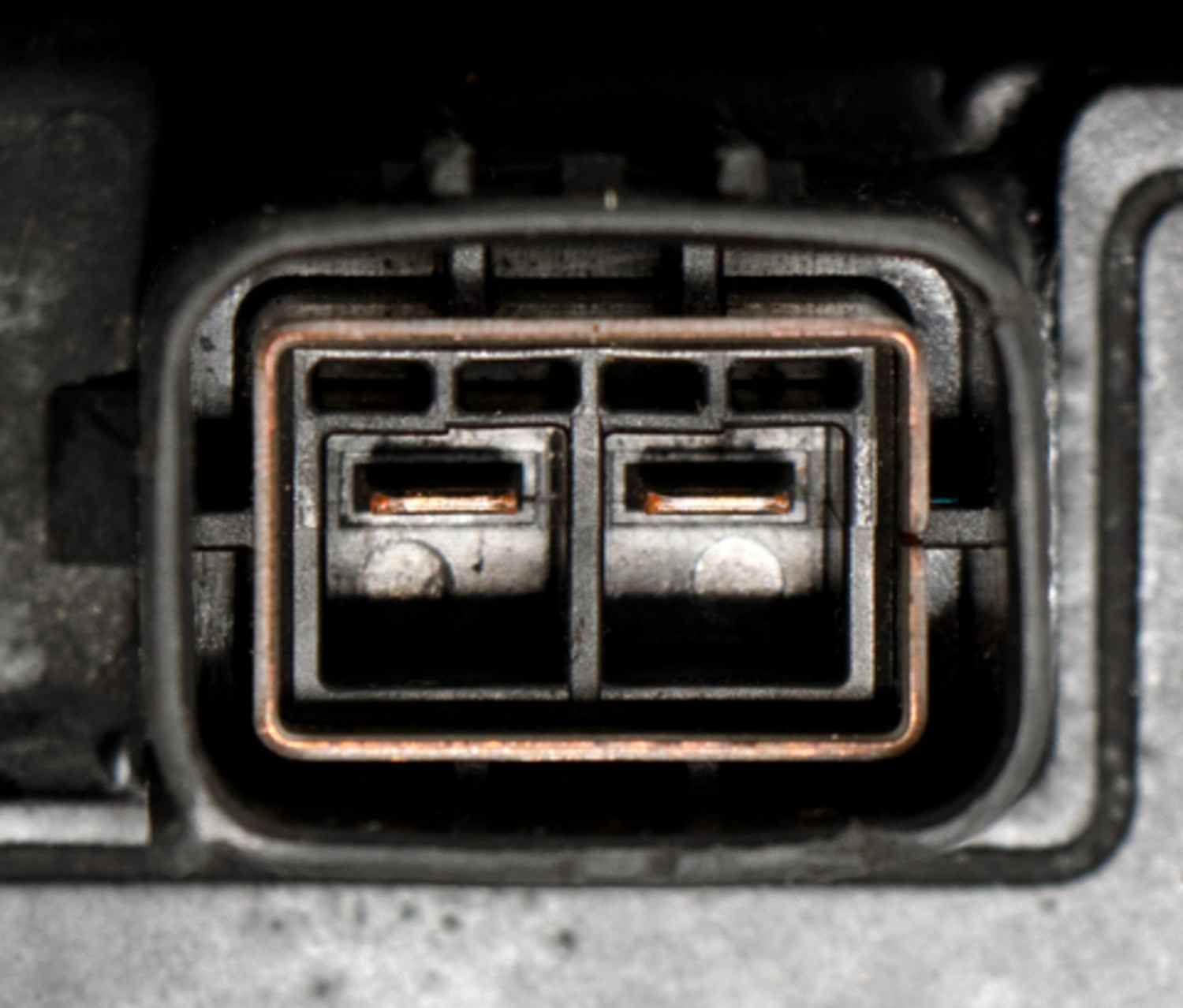 Four Seasons 1177397