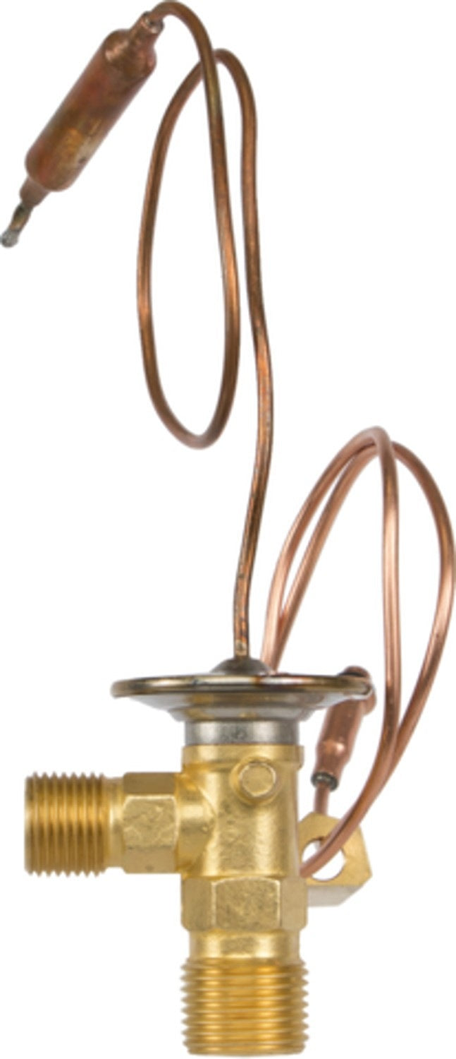 Four Seasons A/C Expansion Valve 38872