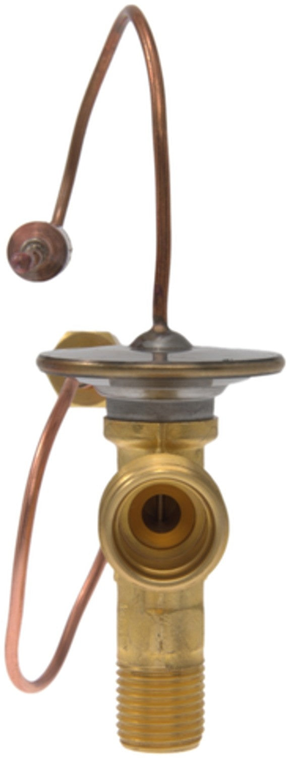Four Seasons A/C Expansion Valve 39069