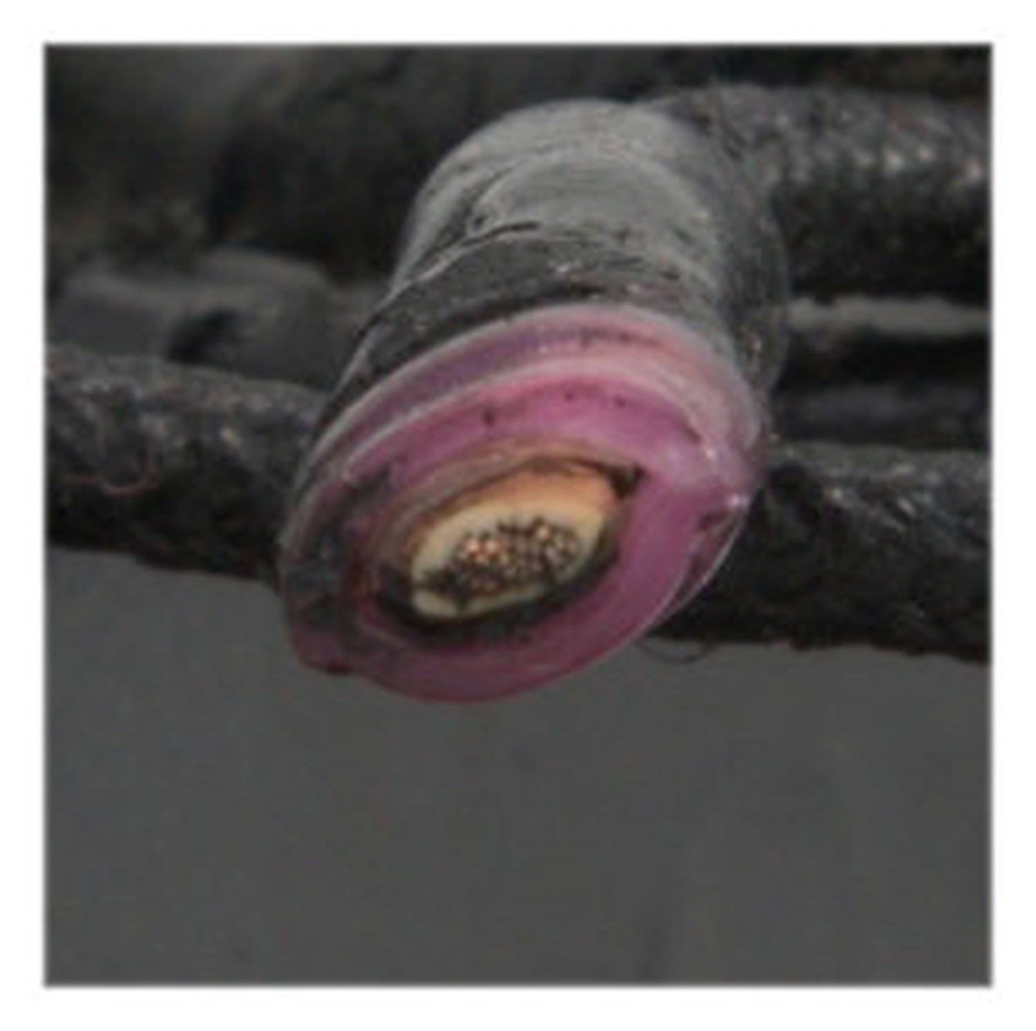 Four Seasons Reman Nippondenso 10P17C Compressor w/ Clutch 67383