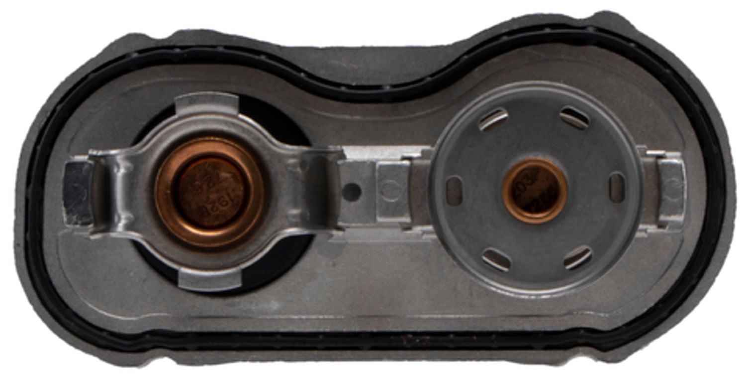 Four Seasons Water Outlet with Thermostat 86252