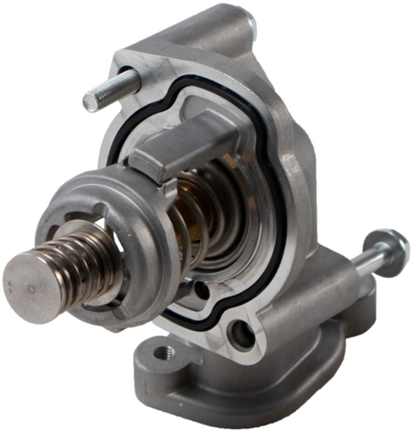 Four Seasons Water Outlet with Thermostat 86323