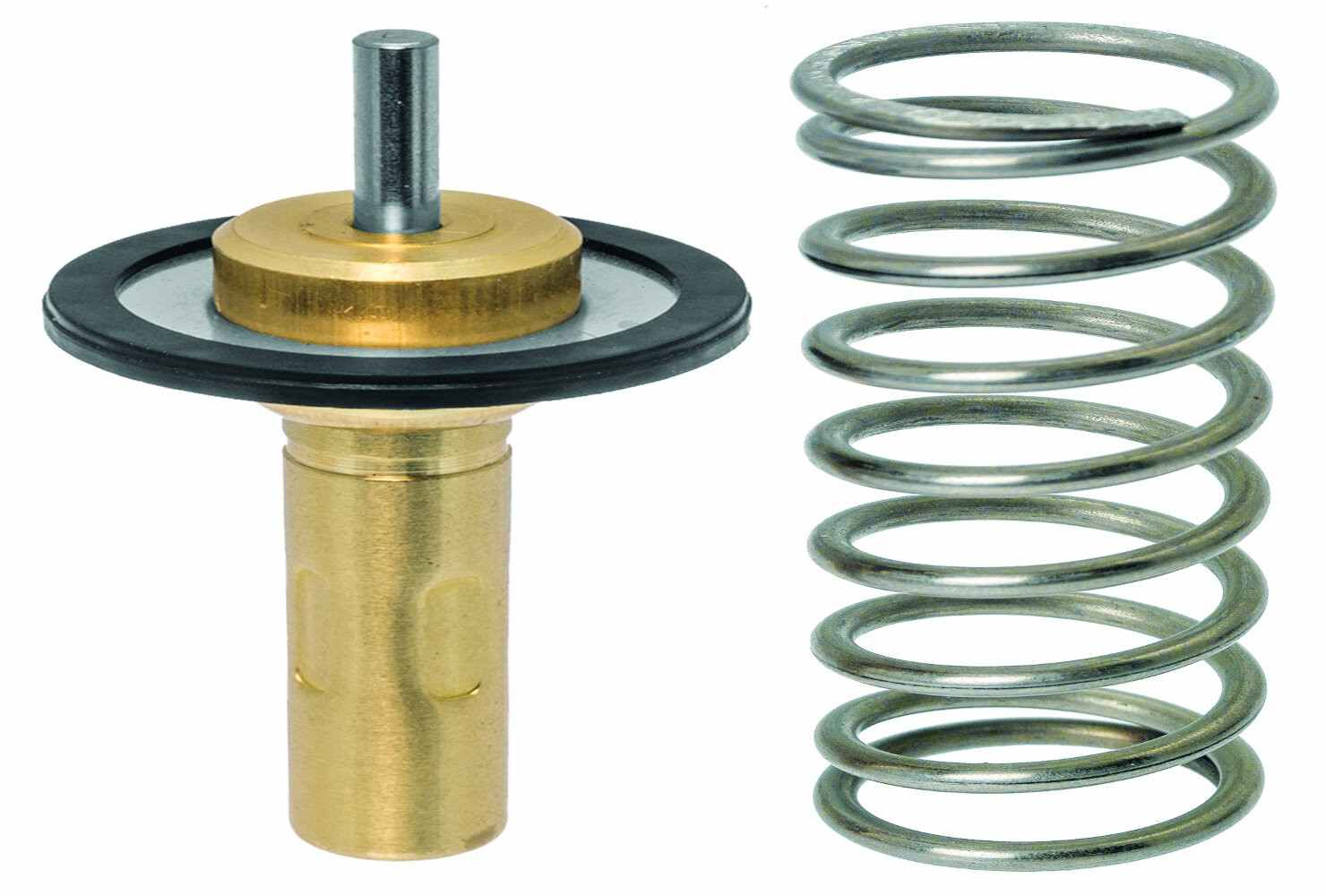 Facet Engine Coolant Thermostat 7.8974