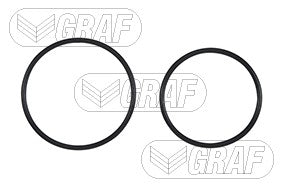 Graf Engine Water Pump PA1036