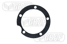Graf Engine Water Pump PA105