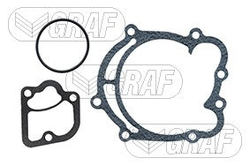 Graf Engine Water Pump PA106