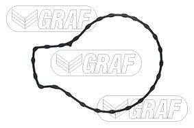 Graf Engine Water Pump PA1134