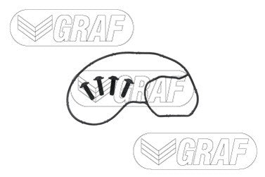 Graf Engine Water Pump PA1367