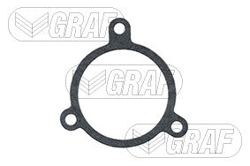 Graf Engine Water Pump PA243