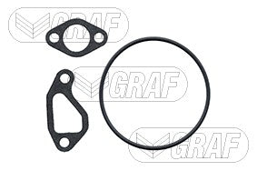 Graf Engine Water Pump PA319