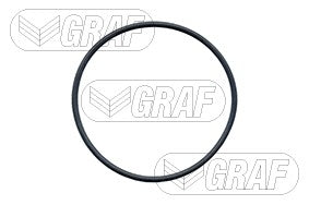 Graf Engine Water Pump PA591
