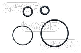 Graf Engine Water Pump PA608