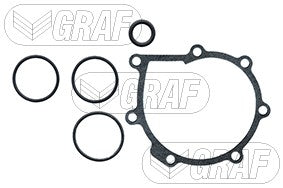 Graf Engine Water Pump PA636