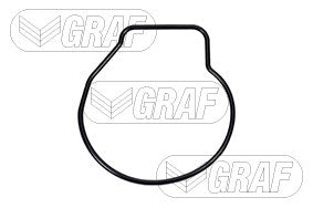 Graf Engine Water Pump PA669