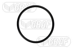 Graf Engine Water Pump PA879