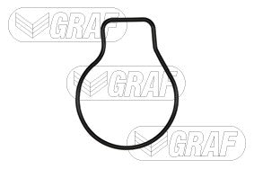 Graf Engine Water Pump PA897
