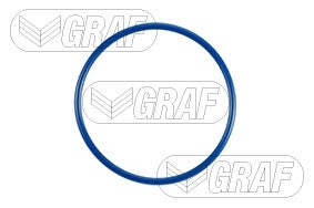 Graf Engine Water Pump PA919