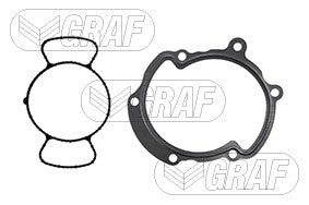 Graf Engine Water Pump PA991