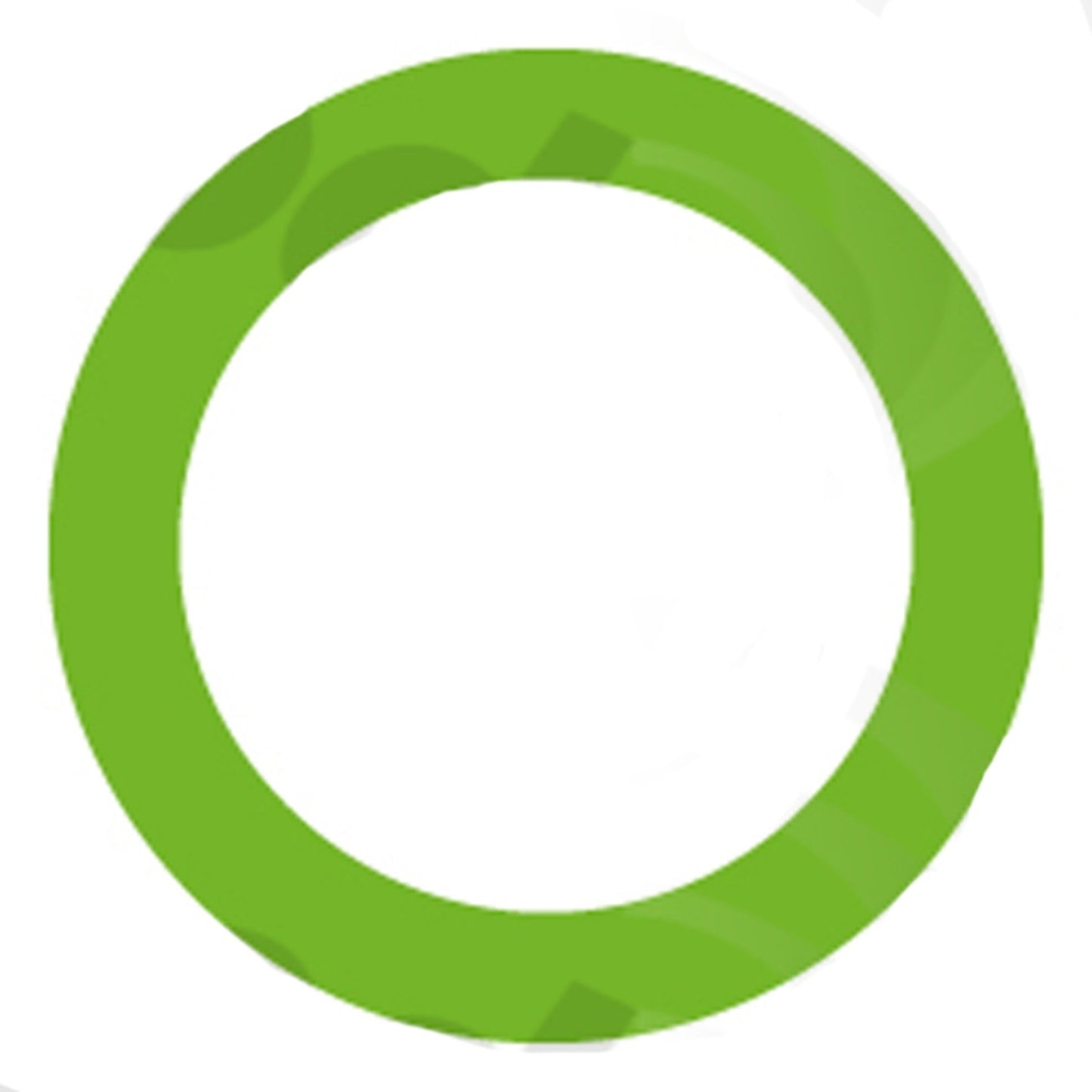 Global Parts Distributors LLC Oring/Gasket 1311305
