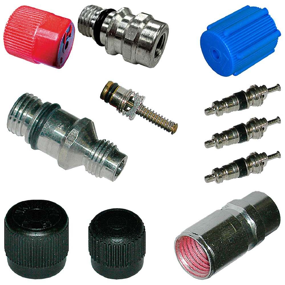 Global Parts Distributors LLC A/C System Valve Core and Cap Kit 1311423