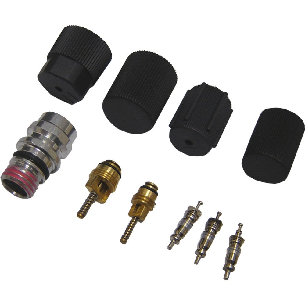 Global Parts Distributors LLC A/C System Valve Core and Cap Kit 1311572