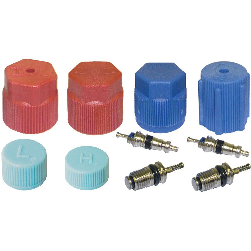 Global Parts Distributors LLC A/C System Valve Core and Cap Kit 1311575
