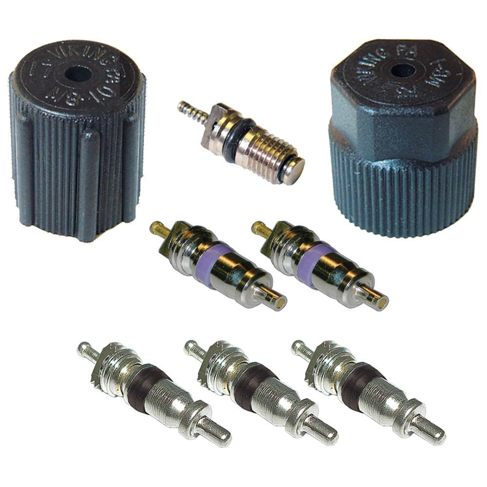 Global Parts Distributors LLC A/C System Valve Core and Cap Kit 1311683