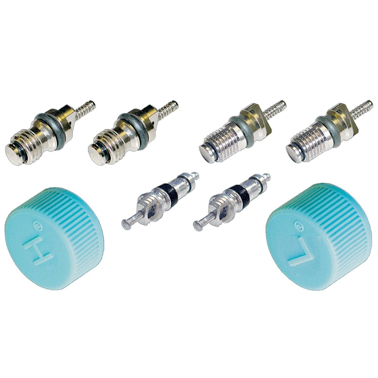 Global Parts Distributors LLC A/C System Valve Core and Cap Kit 1311684