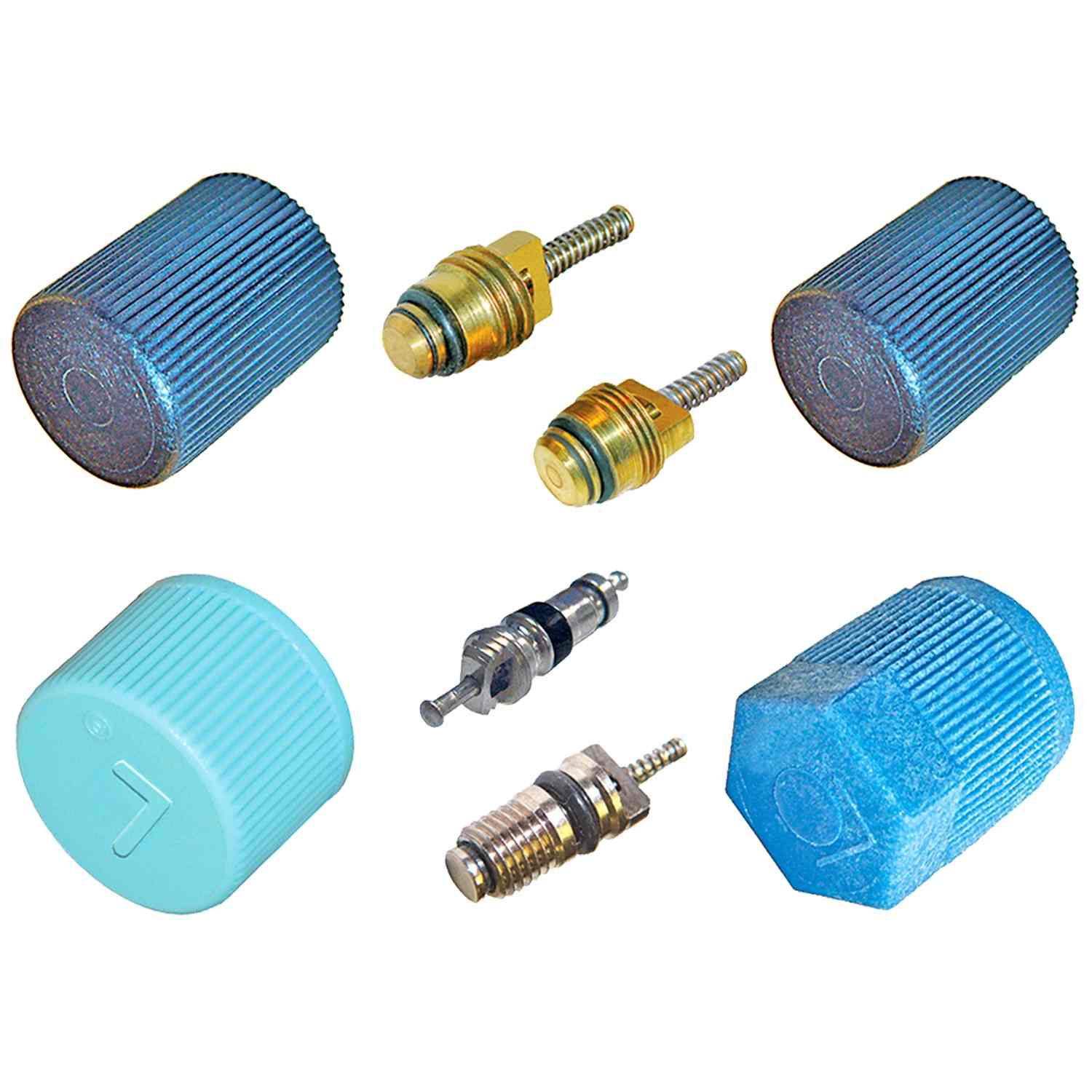Global Parts Distributors LLC A/C System Valve Core and Cap Kit 1321363