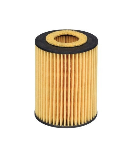 Hengst E820HD245