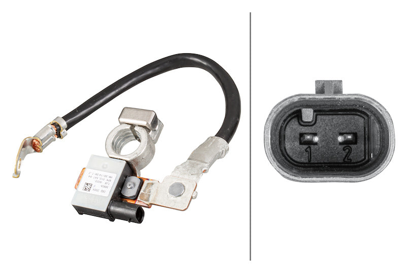 Hella Intelligent Battery Sensor (IBS) 010547761