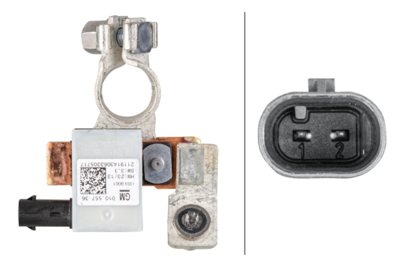 Hella Intelligent Battery Sensor (IBS) 010557441