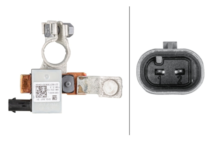 Hella Intelligent Battery Sensor (IBS) 010557471
