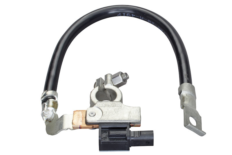 Hella Sensor, battery manage... 010561901