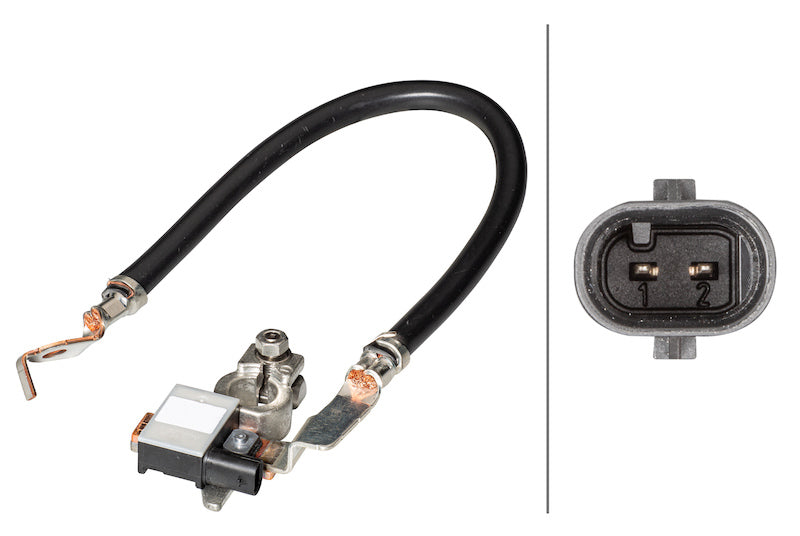 Hella Intelligent Battery Sensor (IBS) 013442901