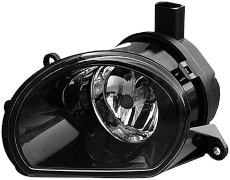 Hella Fog Light Assembly 247003021