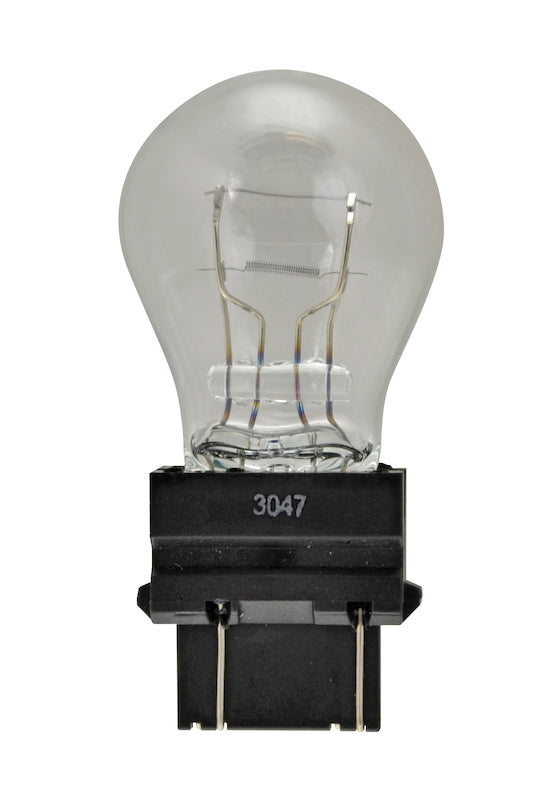 Hella Bulb 3047 12V 21/7W W2.5X16q S8 3047